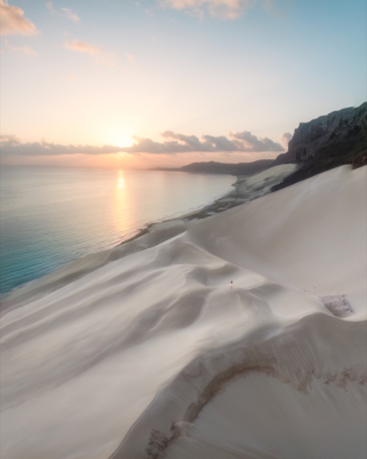 Farewell to Socotra