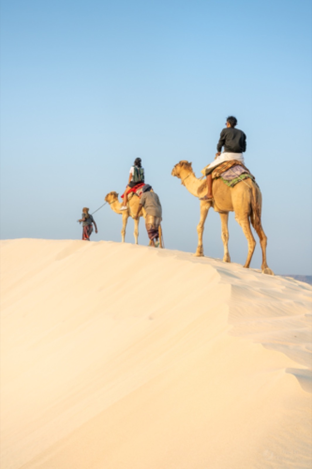 Camel caravan on the dunes