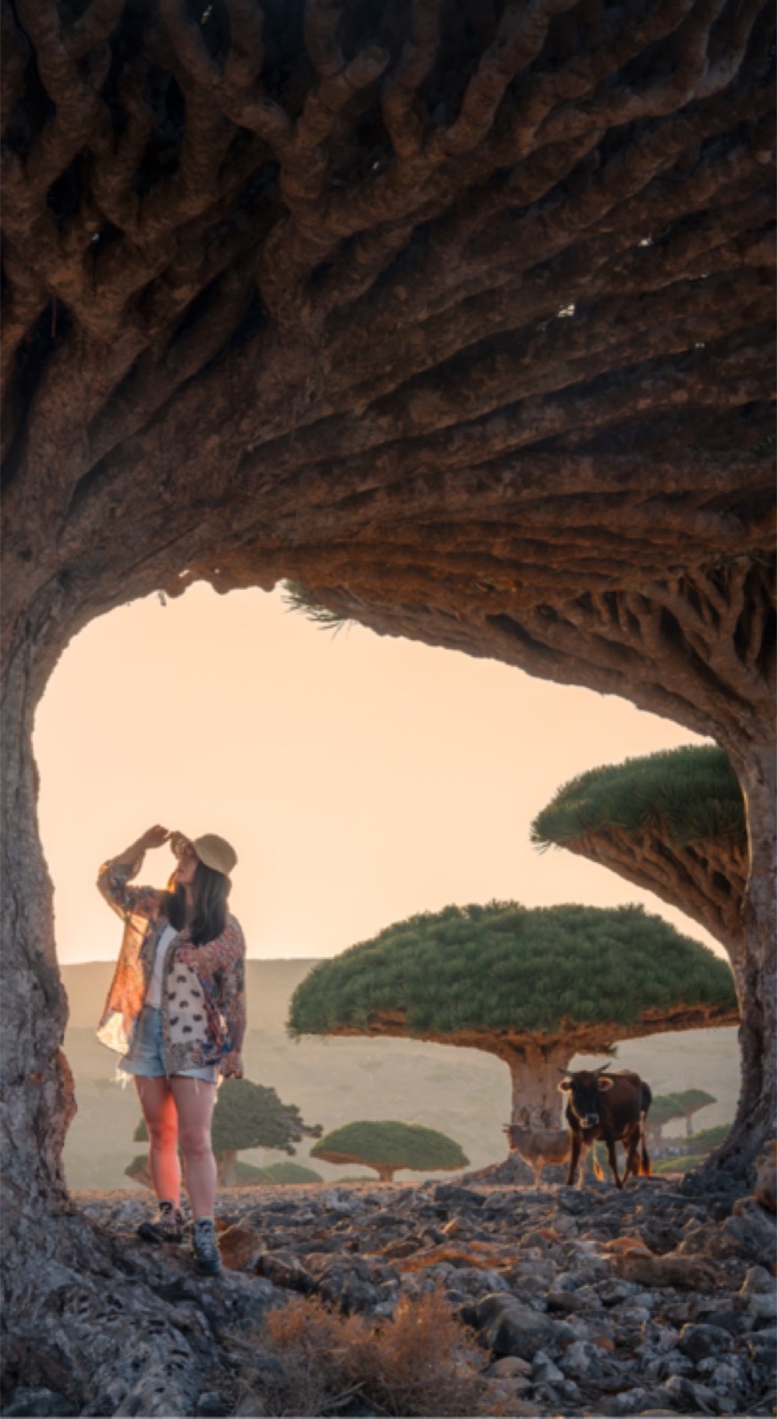 Photography Tours