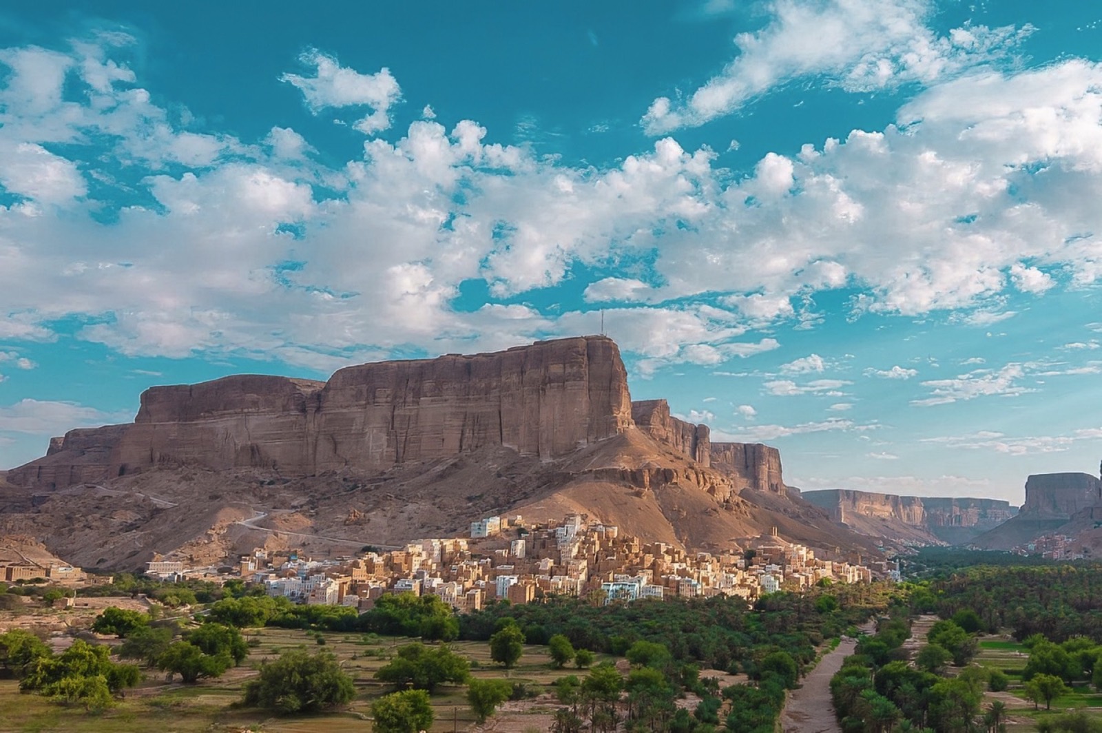 The Seiyun oasis and its desert escarpment