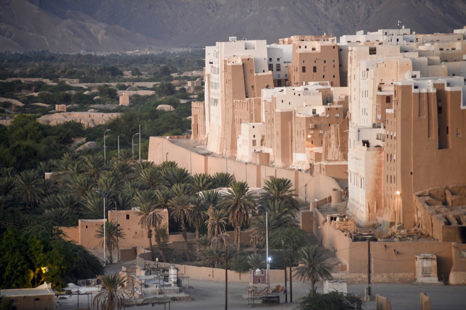 The tower city of Shibam above the green valley